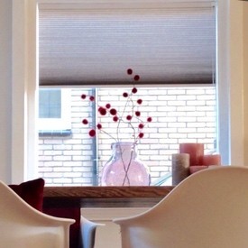 plissegordijn top down bottom up kant en klaar